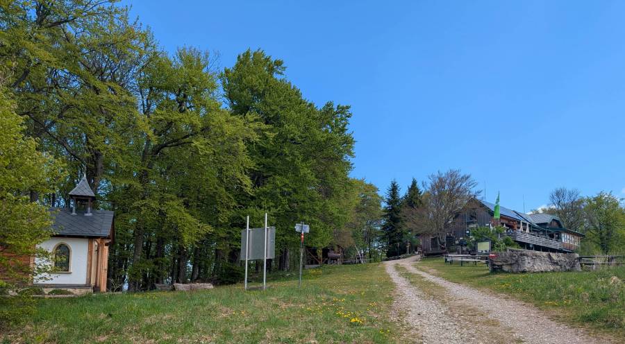 pxl_20260509_100309599.jpg