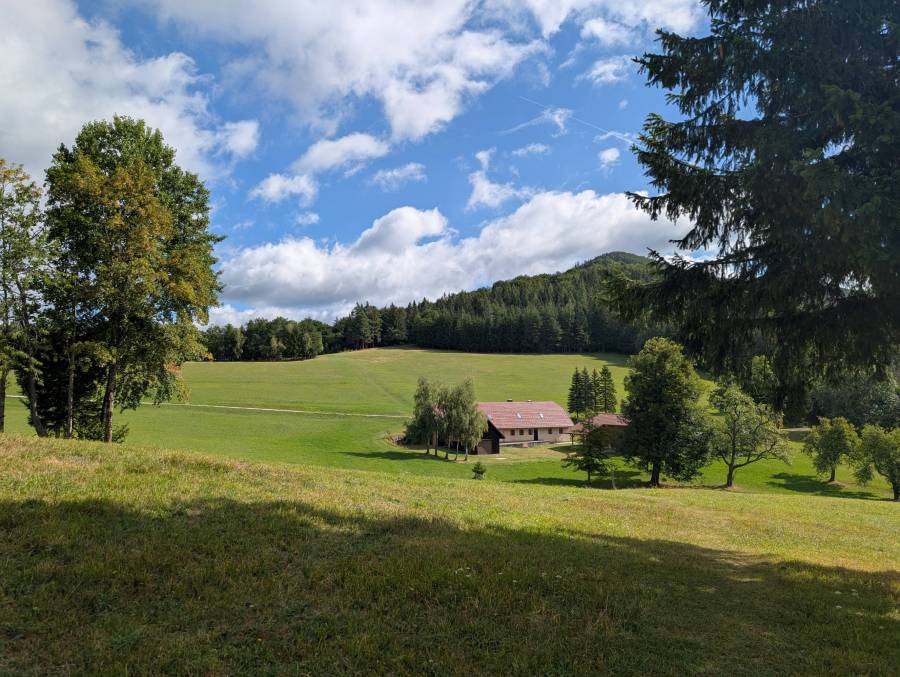 pxl_20260901_082416727.jpg