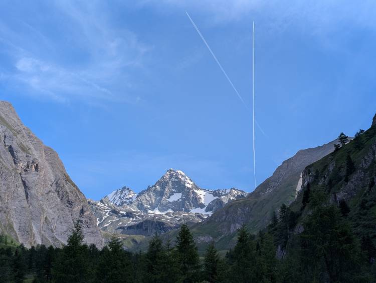 pxl_20250618_062412933.jpg pxl_20250618_062412933.jpg