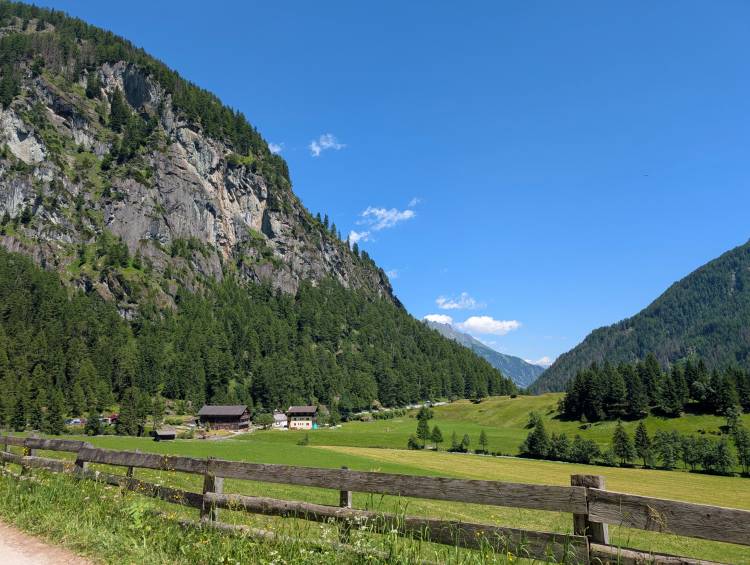 pxl_20250624_120903053.jpg pxl_20250624_120903053.jpg