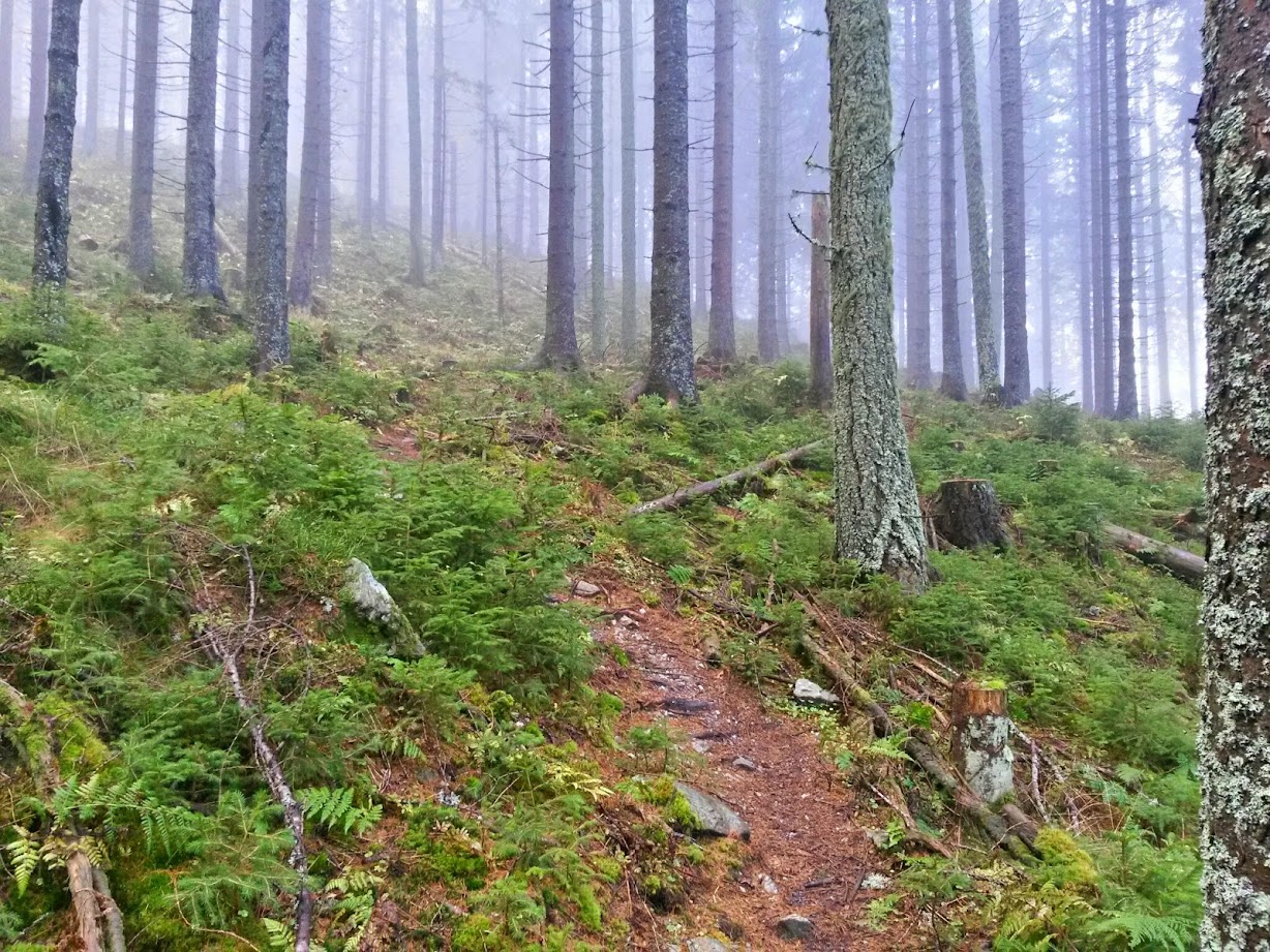 lh6.googleusercontent.com_-sz6t2aawvea_vf9ulnuupoi_aaaaaaaaeq4_oxqngdchhuu_w1228-h921-no_20141109_091436_richtone_28hdr_29.jpg lh6.googleusercontent.com_-sz6t2aawvea_vf9ulnuupoi_aaaaaaaaeq4_oxqngdchhuu_w1228-h921-no_20141109_091436_richtone_28hdr_29.jpg