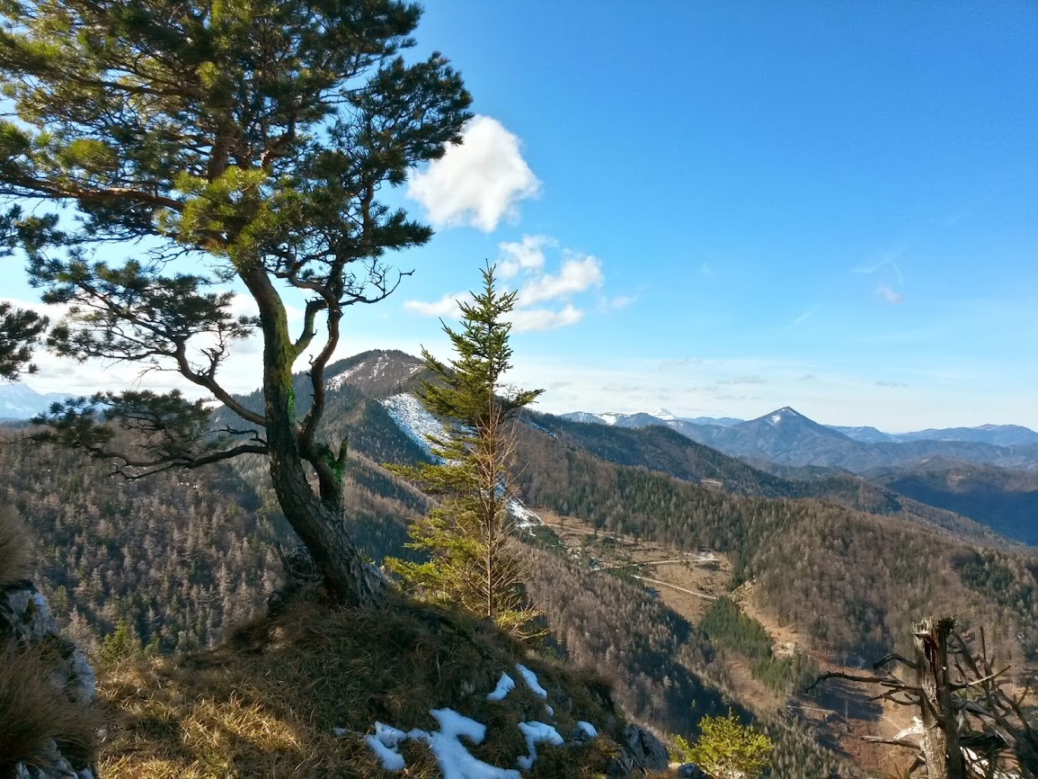 lh4.googleusercontent.com_-jiazbosasgo_uxh-kwd2mbi_aaaaaaaavjw_oz9arvbocpo_w1155-h866-no_20140301_113725_richtone_2528hdr_2529.jpg lh4.googleusercontent.com_-jiazbosasgo_uxh-kwd2mbi_aaaaaaaavjw_oz9arvbocpo_w1155-h866-no_20140301_113725_richtone_2528hdr_2529.jpg