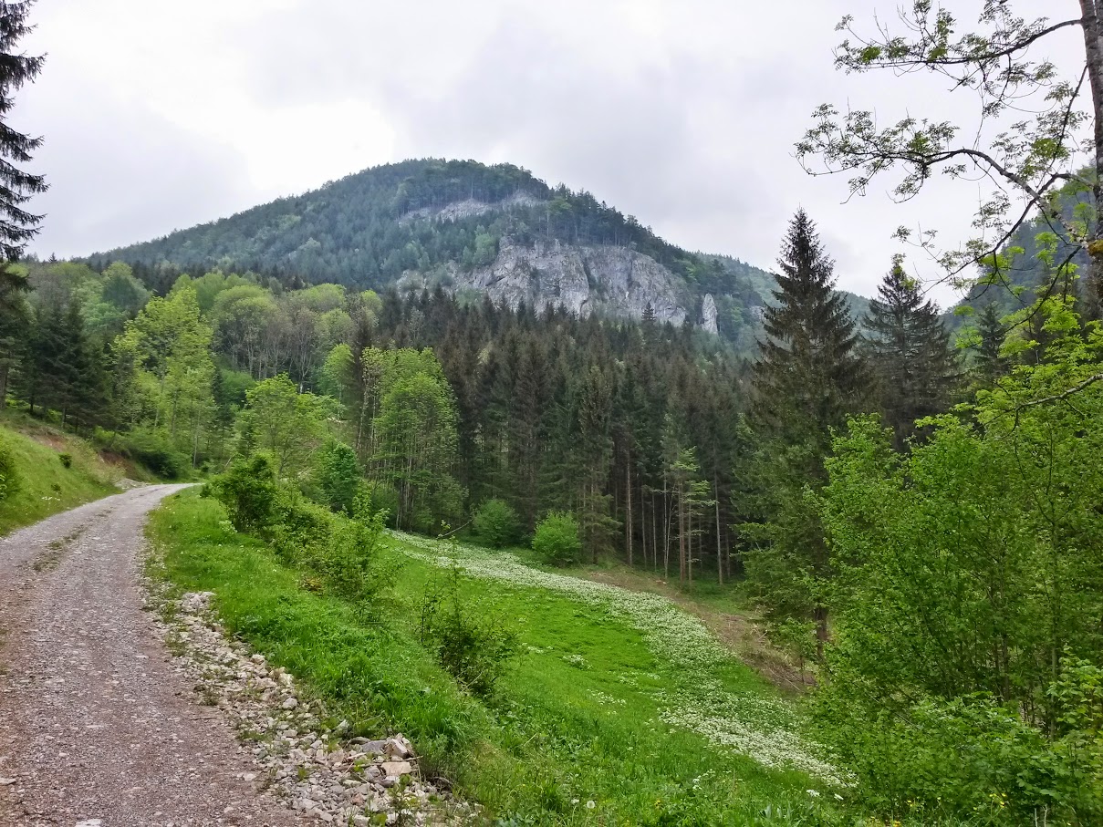 lh6.googleusercontent.com_-hsjfwpfmd_i_vvc-p0txtti_aaaaaaaajfs_htrqehvhvw0_w1209-h907-no_20150516_095950_richtone_2528hdr_2529.jpg lh6.googleusercontent.com_-hsjfwpfmd_i_vvc-p0txtti_aaaaaaaajfs_htrqehvhvw0_w1209-h907-no_20150516_095950_richtone_2528hdr_2529.jpg