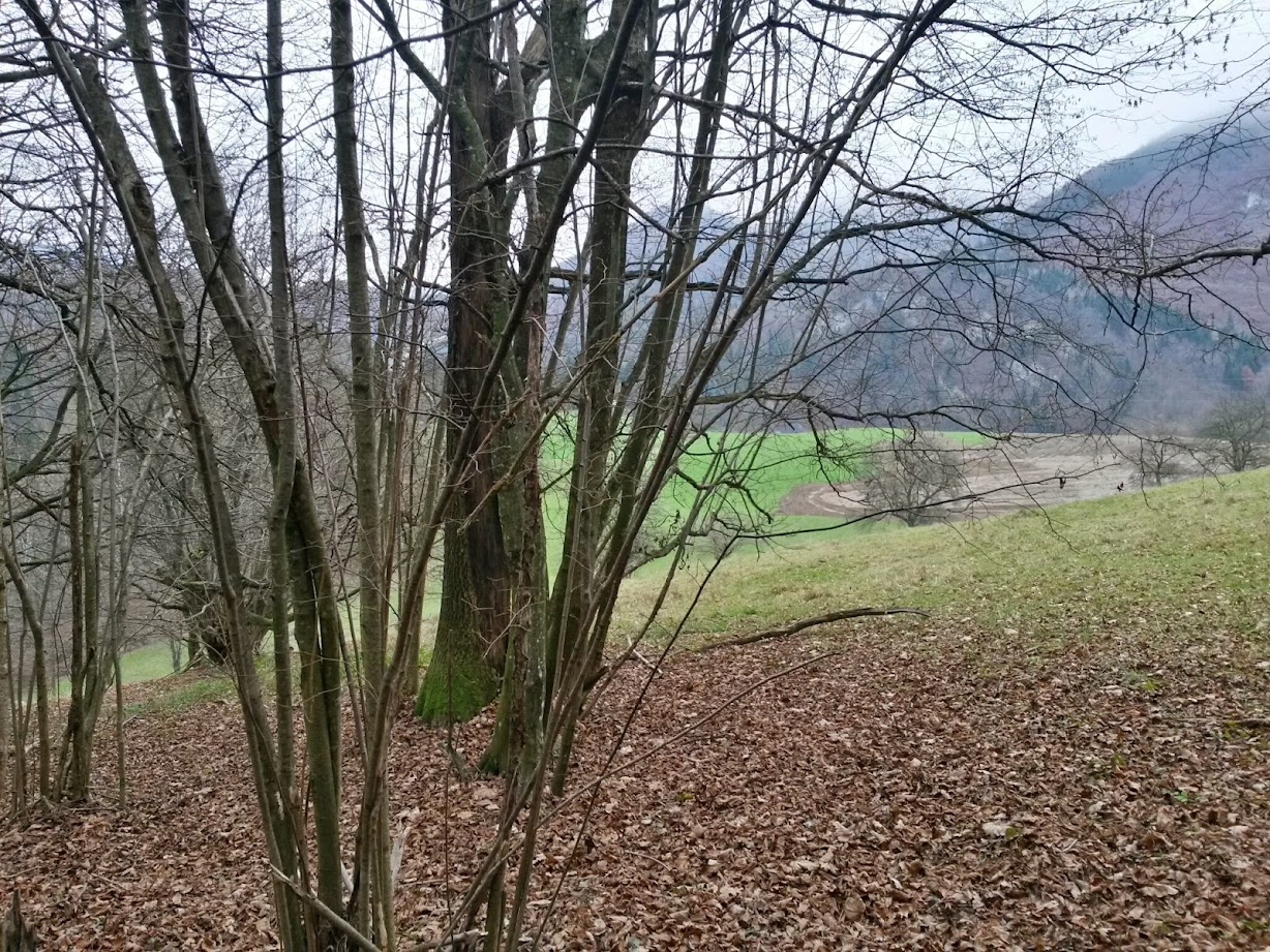 lh4.googleusercontent.com_-qpctzfxmii8_vhokhs8fxfi_aaaaaaaafj8_hrpw_sddwvw_w1228-h921-no_20141129_094516_richtone_28hdr_29.jpg lh4.googleusercontent.com_-qpctzfxmii8_vhokhs8fxfi_aaaaaaaafj8_hrpw_sddwvw_w1228-h921-no_20141129_094516_richtone_28hdr_29.jpg