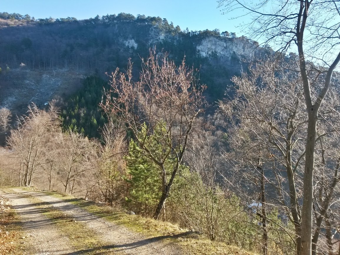 lh6.googleusercontent.com_-vi9g6x9xxrg_urmkrymoyoi_aaaaaaaat30_ovelyauzckq_w1155-h866-no_20131224_112650_richtone_2528hdr_2529.jpg lh6.googleusercontent.com_-vi9g6x9xxrg_urmkrymoyoi_aaaaaaaat30_ovelyauzckq_w1155-h866-no_20131224_112650_richtone_2528hdr_2529.jpg