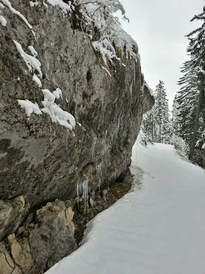 lh5.googleusercontent.com_-jyzmsrshyjg_vqqshmfdafi_aaaaaaaah6m_wvgmn1cfswi_w680-h907-no_20150314_133842_richtone_28hdr_29.jpg lh5.googleusercontent.com_-jyzmsrshyjg_vqqshmfdafi_aaaaaaaah6m_wvgmn1cfswi_w680-h907-no_20150314_133842_richtone_28hdr_29.jpg