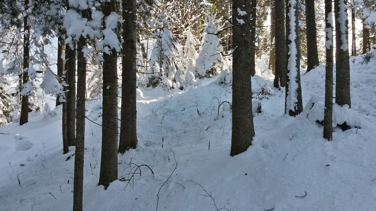 lh3.googleusercontent.com_-7kzbh-zrt3s_up3jw7atd2i_aaaaaaaas5o_zvymi8tqgme_w1280-h720-no_20131203_101519_richtone_2528hdr_2529.jpg lh3.googleusercontent.com_-7kzbh-zrt3s_up3jw7atd2i_aaaaaaaas5o_zvymi8tqgme_w1280-h720-no_20131203_101519_richtone_2528hdr_2529.jpg