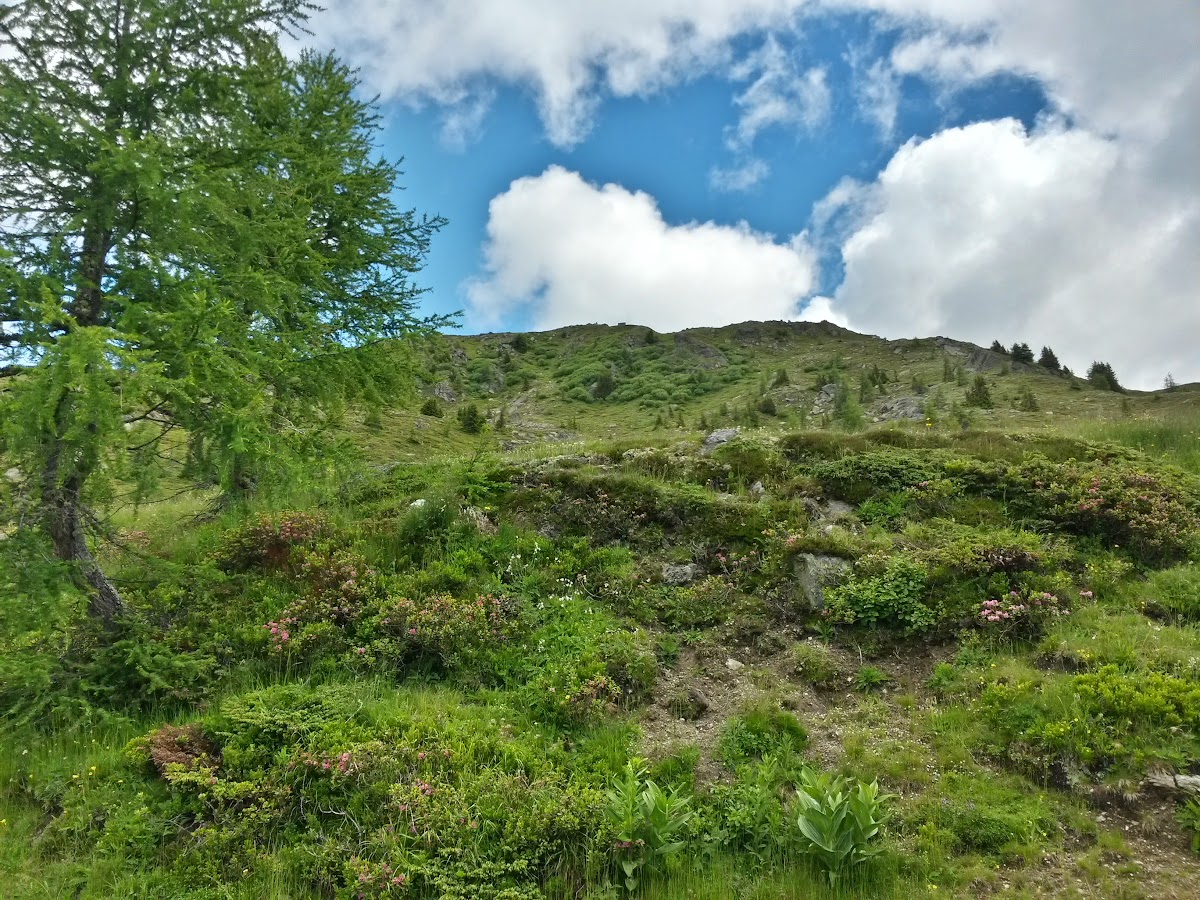 lh5.googleusercontent.com_-nnbyeg_qdy4_vyqmibysrhi_aaaaaaaaml4_jtpyv4umphq_w1200-h900-no_20150624_110030_richtone_2528hdr_2529.jpg lh5.googleusercontent.com_-nnbyeg_qdy4_vyqmibysrhi_aaaaaaaaml4_jtpyv4umphq_w1200-h900-no_20150624_110030_richtone_2528hdr_2529.jpg