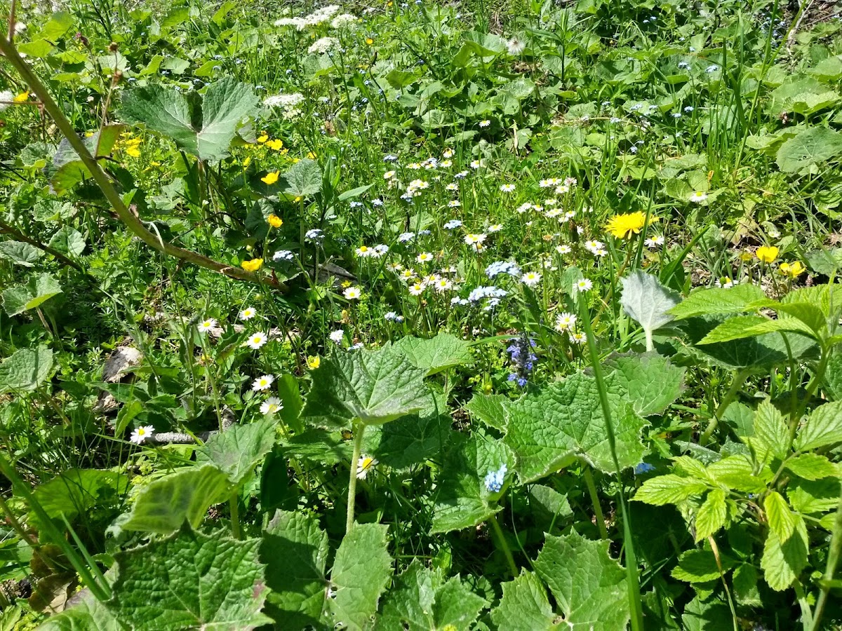 lh3.googleusercontent.com_-v5hi8sauf4m_u5ncbhdnx3i_aaaaaaaazay_g7jn2zwyxn4_w1200-h900-no_20140607_145609_richtone_2528hdr_2529.jpg lh3.googleusercontent.com_-v5hi8sauf4m_u5ncbhdnx3i_aaaaaaaazay_g7jn2zwyxn4_w1200-h900-no_20140607_145609_richtone_2528hdr_2529.jpg