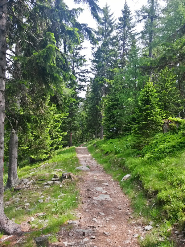 lh3.googleusercontent.com_-5auzrkwuhew_vx0y5raqggi_aaaaaaaakus_enq0whb0by4_w600-h800-no_20150614_095052_richtone_2528hdr_2529.jpg lh3.googleusercontent.com_-5auzrkwuhew_vx0y5raqggi_aaaaaaaakus_enq0whb0by4_w600-h800-no_20150614_095052_richtone_2528hdr_2529.jpg