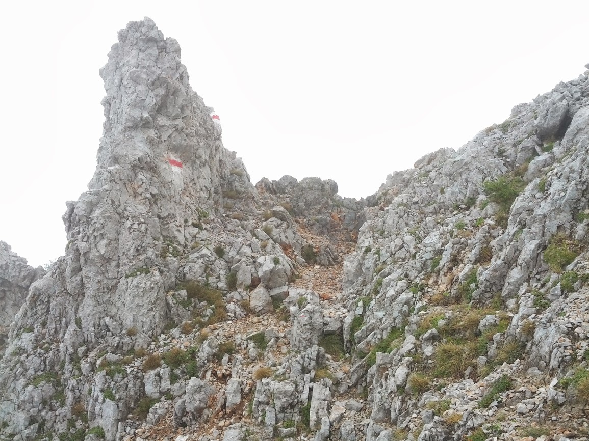 lh6.googleusercontent.com_-l2ycwnvlsso_uhjnsyote1i_aaaaaaaap1c_ei1l8fcfgke_w1155-h866-no_img_20130824_112239.jpg lh6.googleusercontent.com_-l2ycwnvlsso_uhjnsyote1i_aaaaaaaap1c_ei1l8fcfgke_w1155-h866-no_img_20130824_112239.jpg