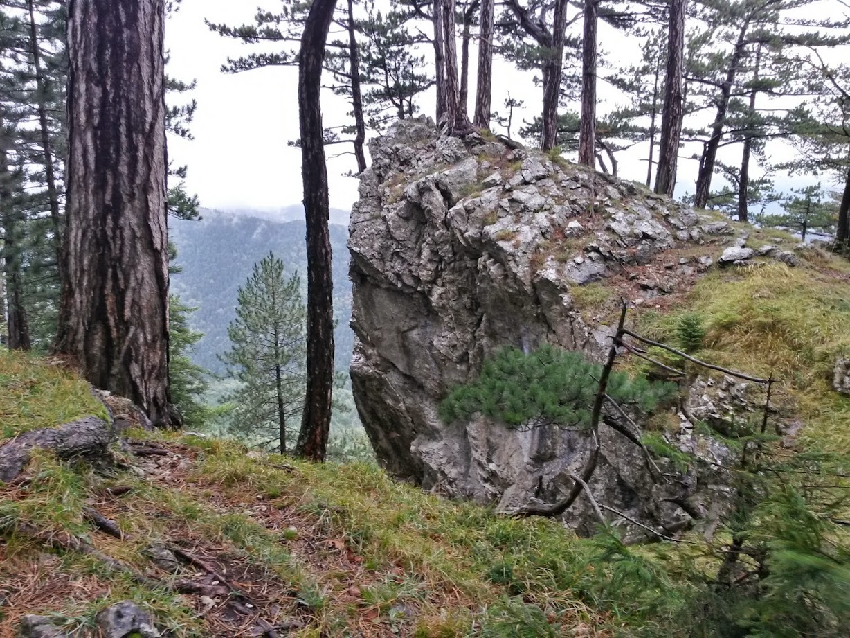 lh5.googleusercontent.com_-o1fcdqghato_vccyu5guqxi_aaaaaaaadxy_l8exulefisc_w1228-h921-no_20140927_121431_richtone_28hdr_29.jpg lh5.googleusercontent.com_-o1fcdqghato_vccyu5guqxi_aaaaaaaadxy_l8exulefisc_w1228-h921-no_20140927_121431_richtone_28hdr_29.jpg