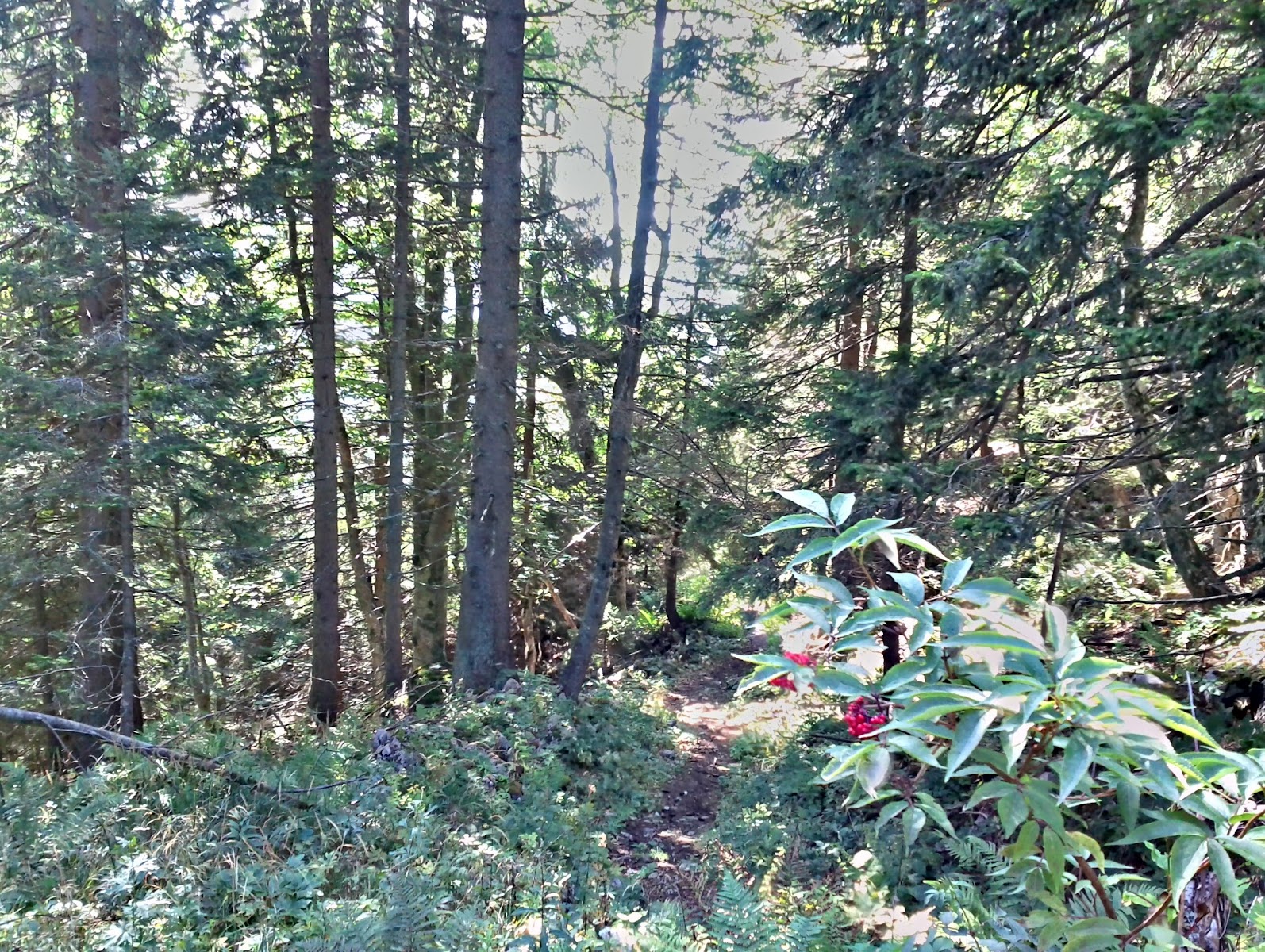 lh4.googleusercontent.com_-hfxixnptukm_tn4s-kyw01i_aaaaaaaaajm_ij3ir7lx4g4_w1600-h1200-no_2011-09-24_13.41.03.jpg lh4.googleusercontent.com_-hfxixnptukm_tn4s-kyw01i_aaaaaaaaajm_ij3ir7lx4g4_w1600-h1200-no_2011-09-24_13.41.03.jpg