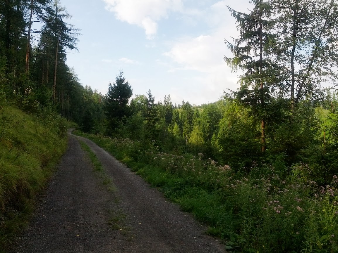 lh5.googleusercontent.com_-91qzorljzj4_ugyswbm-lwi_aaaaaaaapa8_hohsvhwuqvs_w1155-h866-no_img_20130810_083630.jpg lh5.googleusercontent.com_-91qzorljzj4_ugyswbm-lwi_aaaaaaaapa8_hohsvhwuqvs_w1155-h866-no_img_20130810_083630.jpg