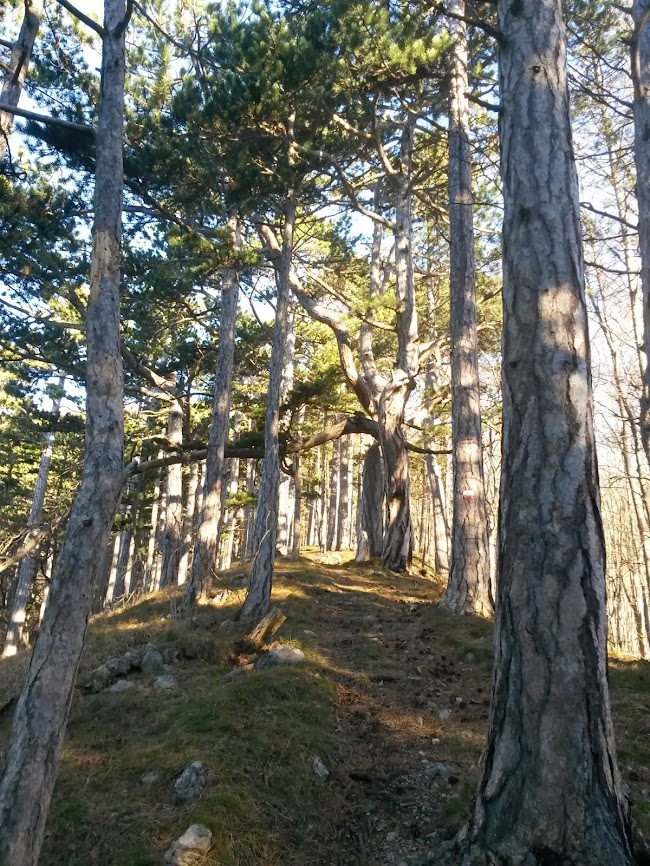 lh5.googleusercontent.com_-4n-nge4jee0_urmjjum82ai_aaaaaaaatyw_iw_4b_ikcku_w650-h866-no_20131224_100957.jpg lh5.googleusercontent.com_-4n-nge4jee0_urmjjum82ai_aaaaaaaatyw_iw_4b_ikcku_w650-h866-no_20131224_100957.jpg