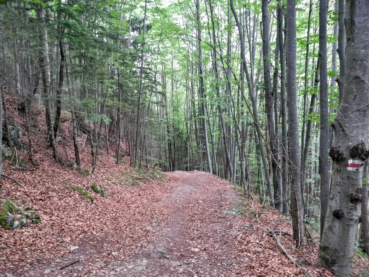 lh4.googleusercontent.com_-lqd-nvkm5au_vbnn-lucuci_aaaaaaaam2m_qh4haj1qifq_w1209-h907-no_20150725_100029_richtone_2528hdr_2529.jpg lh4.googleusercontent.com_-lqd-nvkm5au_vbnn-lucuci_aaaaaaaam2m_qh4haj1qifq_w1209-h907-no_20150725_100029_richtone_2528hdr_2529.jpg