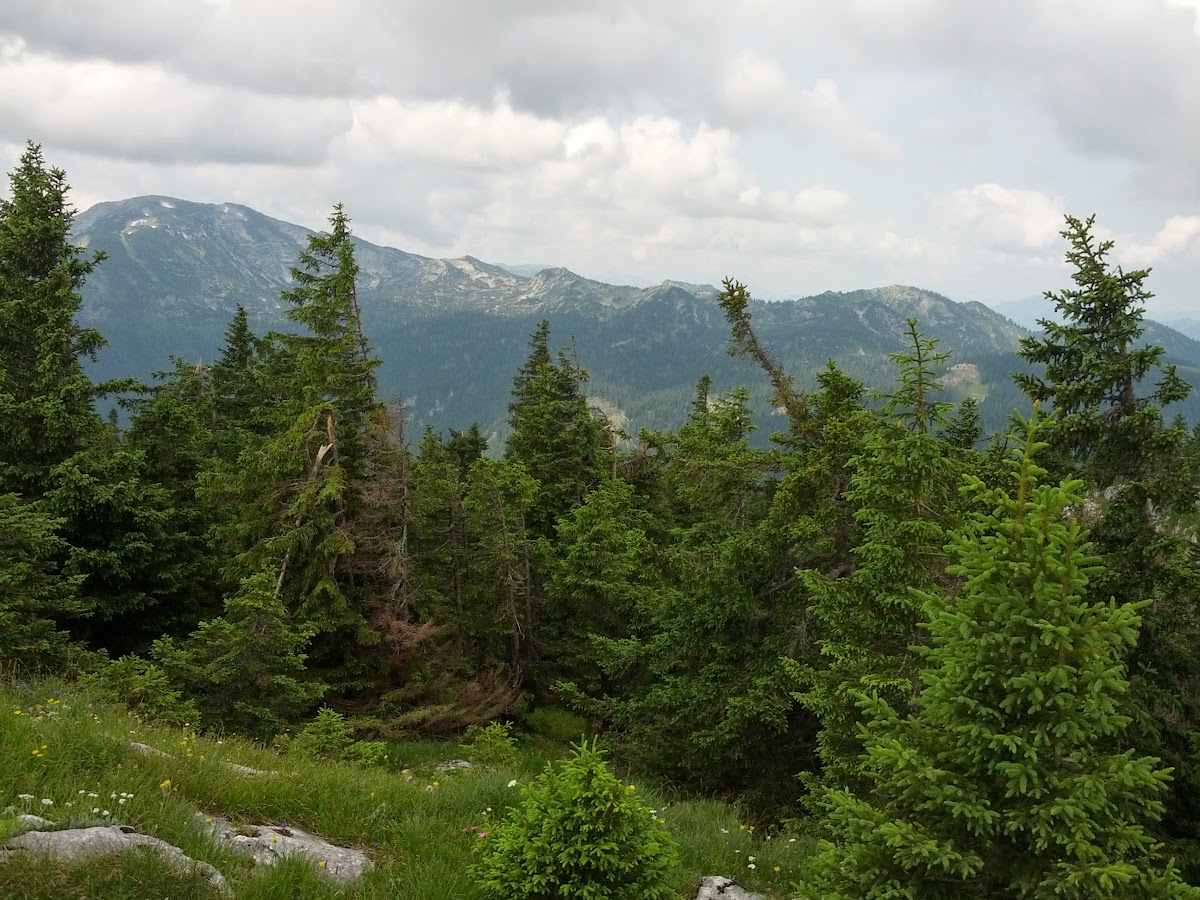 lh4.googleusercontent.com_-emovv3slx5m_uefgftfplzi_aaaaaaaaox8_pw0qcmpo--0_w1200-h900-no_img_20130713_101003.jpg lh4.googleusercontent.com_-emovv3slx5m_uefgftfplzi_aaaaaaaaox8_pw0qcmpo--0_w1200-h900-no_img_20130713_101003.jpg