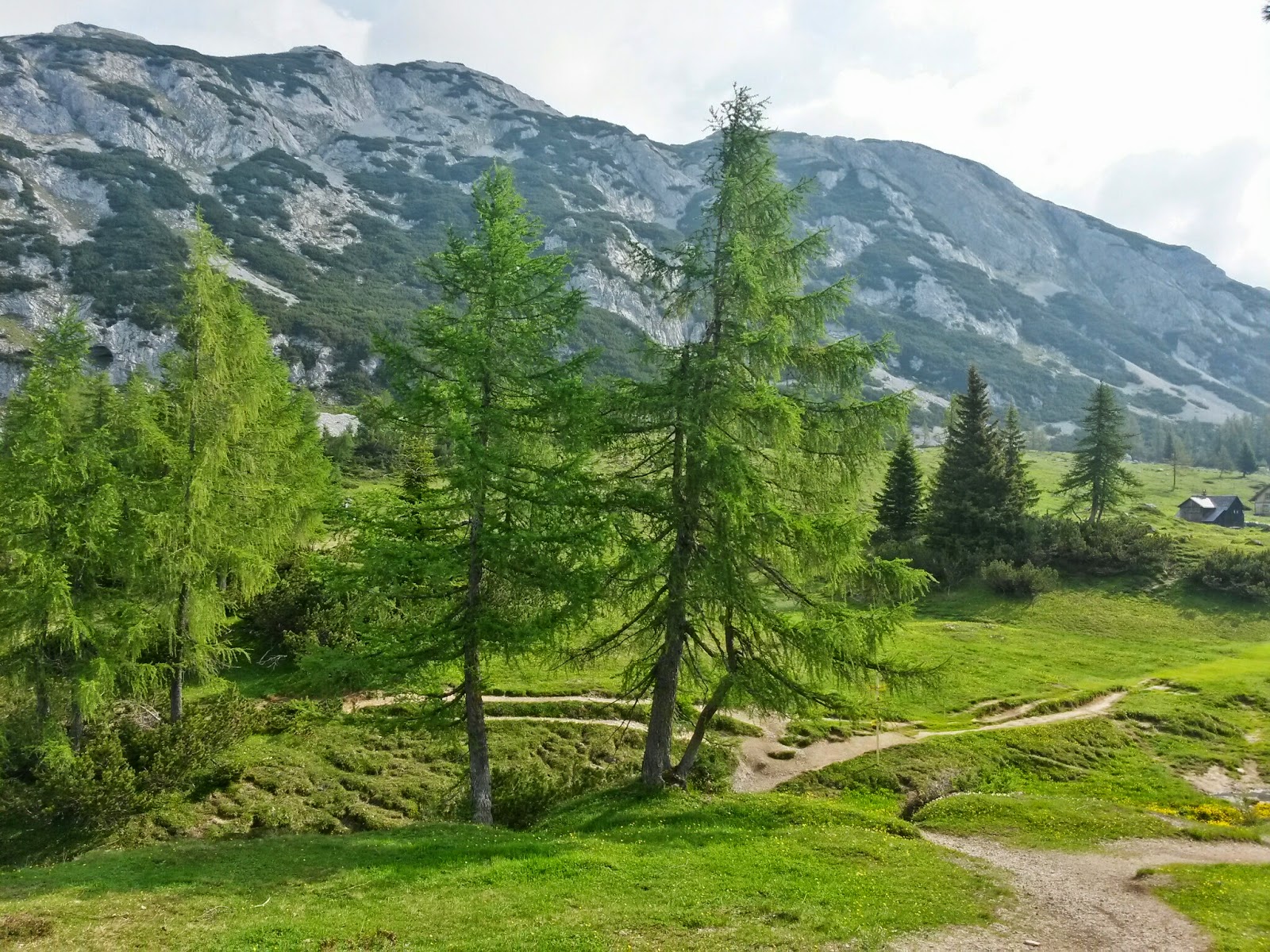 lh5.googleusercontent.com_-bl_vv9q01x0_u5m9de-jnai_aaaaaaaazes_ojnoqcpttlu_w1600-h1200-no_20140612_090853_richtone_2528hdr_2529.jpg lh5.googleusercontent.com_-bl_vv9q01x0_u5m9de-jnai_aaaaaaaazes_ojnoqcpttlu_w1600-h1200-no_20140612_090853_richtone_2528hdr_2529.jpg