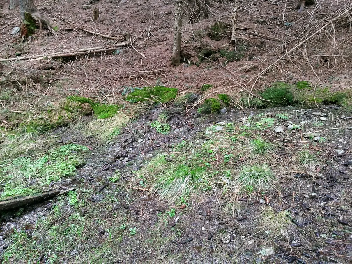 lh6.googleusercontent.com_-yjklqvtwnlw_vtku-rgsb9i_aaaaaaaaigo_drhnoq5tls0_w1209-h907-no_20150418_110453_richtone_28hdr_29.jpg lh6.googleusercontent.com_-yjklqvtwnlw_vtku-rgsb9i_aaaaaaaaigo_drhnoq5tls0_w1209-h907-no_20150418_110453_richtone_28hdr_29.jpg