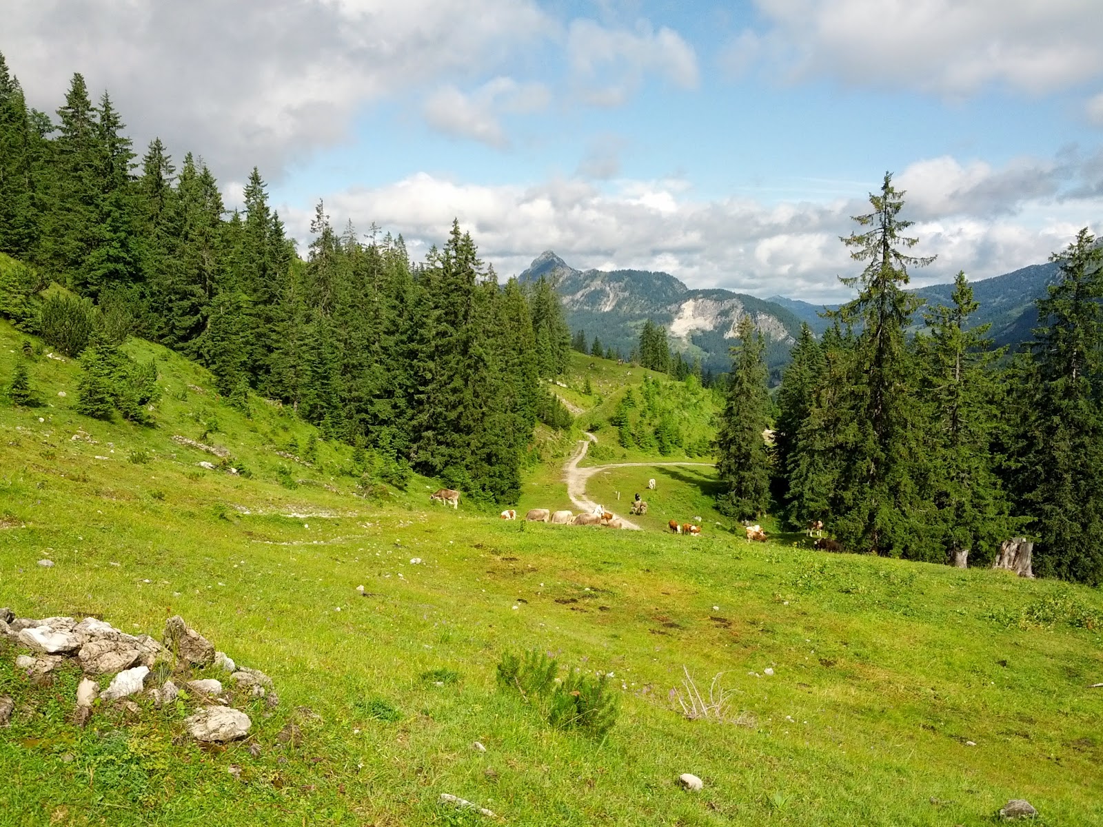 lh3.googleusercontent.com_-bhwverqlc3y_ufeqhtrbywi_aaaaaaaao8y_bwluyfuf0ao_w1600-h1200-no_img_20130730_101033.jpg lh3.googleusercontent.com_-bhwverqlc3y_ufeqhtrbywi_aaaaaaaao8y_bwluyfuf0ao_w1600-h1200-no_img_20130730_101033.jpg