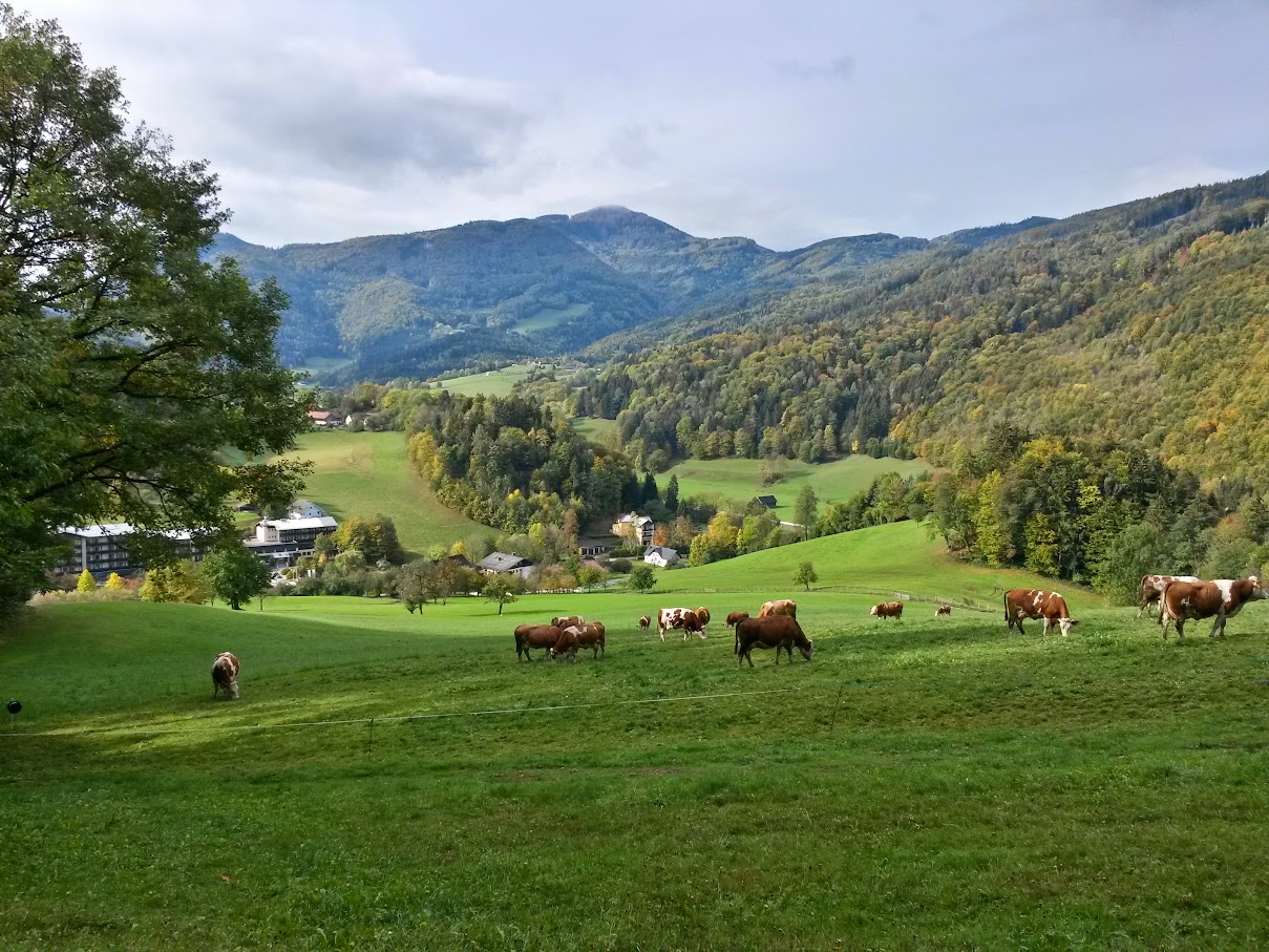 lh6.googleusercontent.com_-ga6_smuoou0_vijawwxcjoi_aaaaaaaaoxu_pagwzavt58m_w1209-h907-no_20151017_104848_richtone_2528hdr_2529.jpg lh6.googleusercontent.com_-ga6_smuoou0_vijawwxcjoi_aaaaaaaaoxu_pagwzavt58m_w1209-h907-no_20151017_104848_richtone_2528hdr_2529.jpg