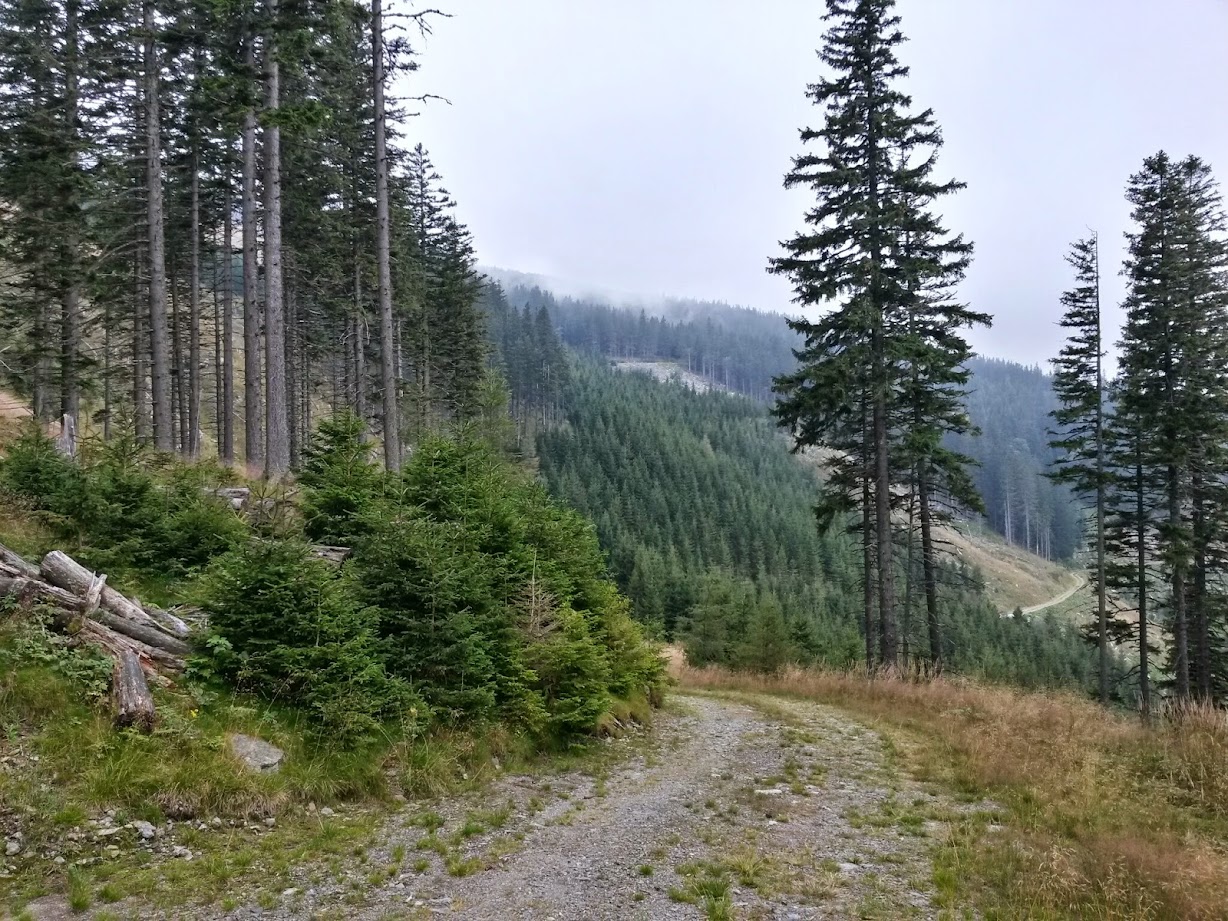 lh5.googleusercontent.com_-w53us4npttg_vag0iyios4i_aaaaaaaacxk_zkquq_ld6ty_w1228-h921-no_20140830_105629_richtone_28hdr_29.jpg lh5.googleusercontent.com_-w53us4npttg_vag0iyios4i_aaaaaaaacxk_zkquq_ld6ty_w1228-h921-no_20140830_105629_richtone_28hdr_29.jpg