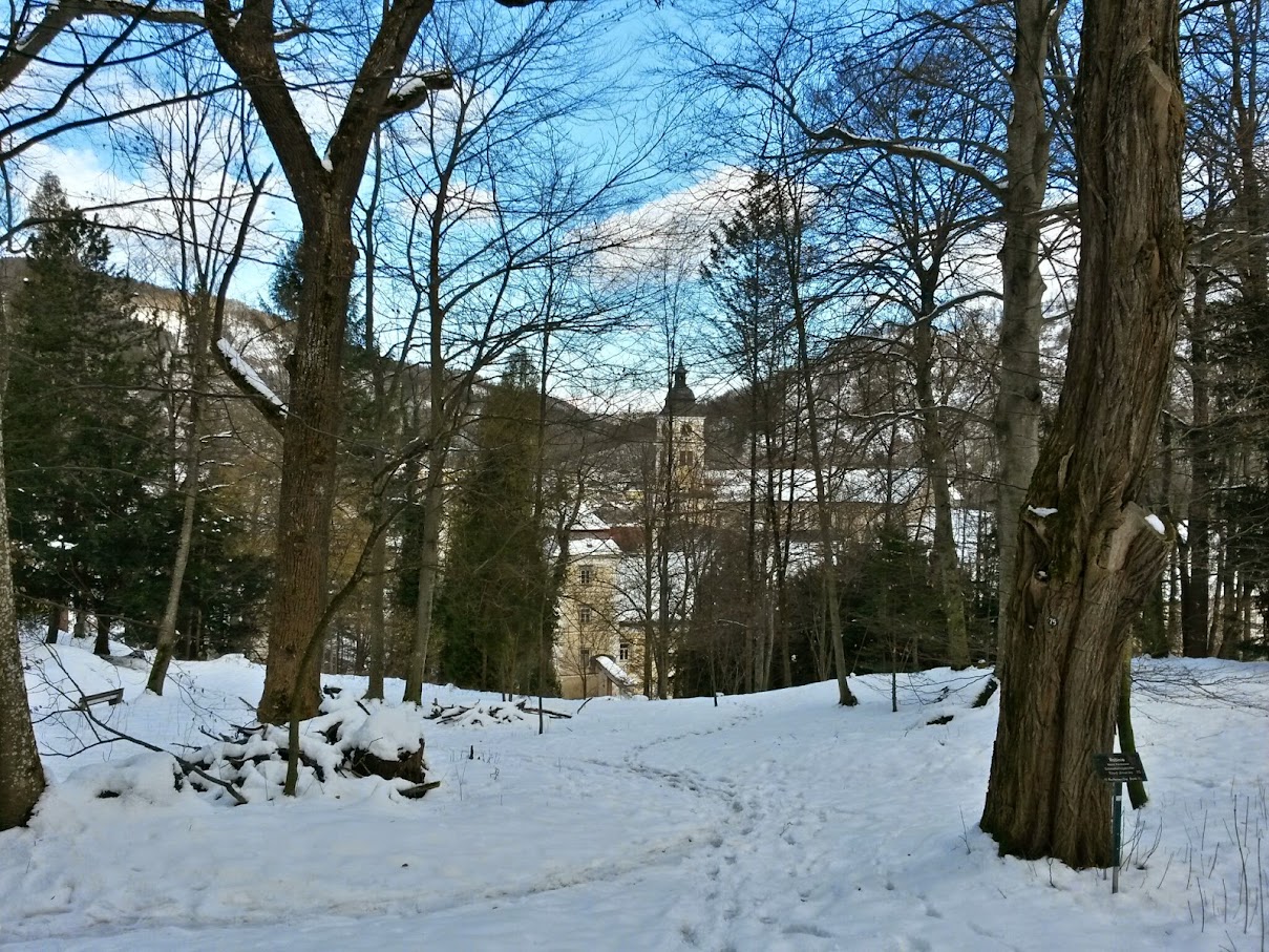 lh3.googleusercontent.com_-poev_if9om4_vmzl-xlqpmi_aaaaaaaahlo_tzmtyfwv93s_w1209-h907-no_20150131_112542_richtone_28hdr_29.jpg lh3.googleusercontent.com_-poev_if9om4_vmzl-xlqpmi_aaaaaaaahlo_tzmtyfwv93s_w1209-h907-no_20150131_112542_richtone_28hdr_29.jpg