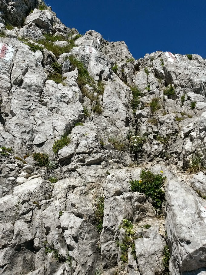 lh6.googleusercontent.com_-hnnokziorwq_vafd15gv1ci_aaaaaaaampq_nsvsdknhexa_w680-h907-no_20150711_112354_richtone_2528hdr_2529.jpg lh6.googleusercontent.com_-hnnokziorwq_vafd15gv1ci_aaaaaaaampq_nsvsdknhexa_w680-h907-no_20150711_112354_richtone_2528hdr_2529.jpg