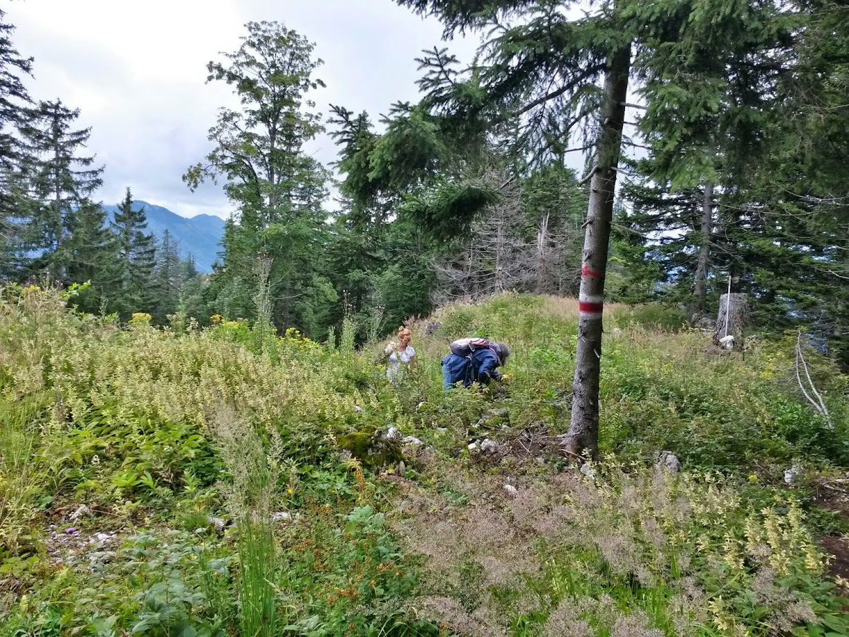 lh4.googleusercontent.com_-yas5tig04uy_u-97veom_pi_aaaaaaaacbk_vswtcqqv89g_w1228-h921-no_20140816_114911_richtone_28hdr_29.jpg lh4.googleusercontent.com_-yas5tig04uy_u-97veom_pi_aaaaaaaacbk_vswtcqqv89g_w1228-h921-no_20140816_114911_richtone_28hdr_29.jpg