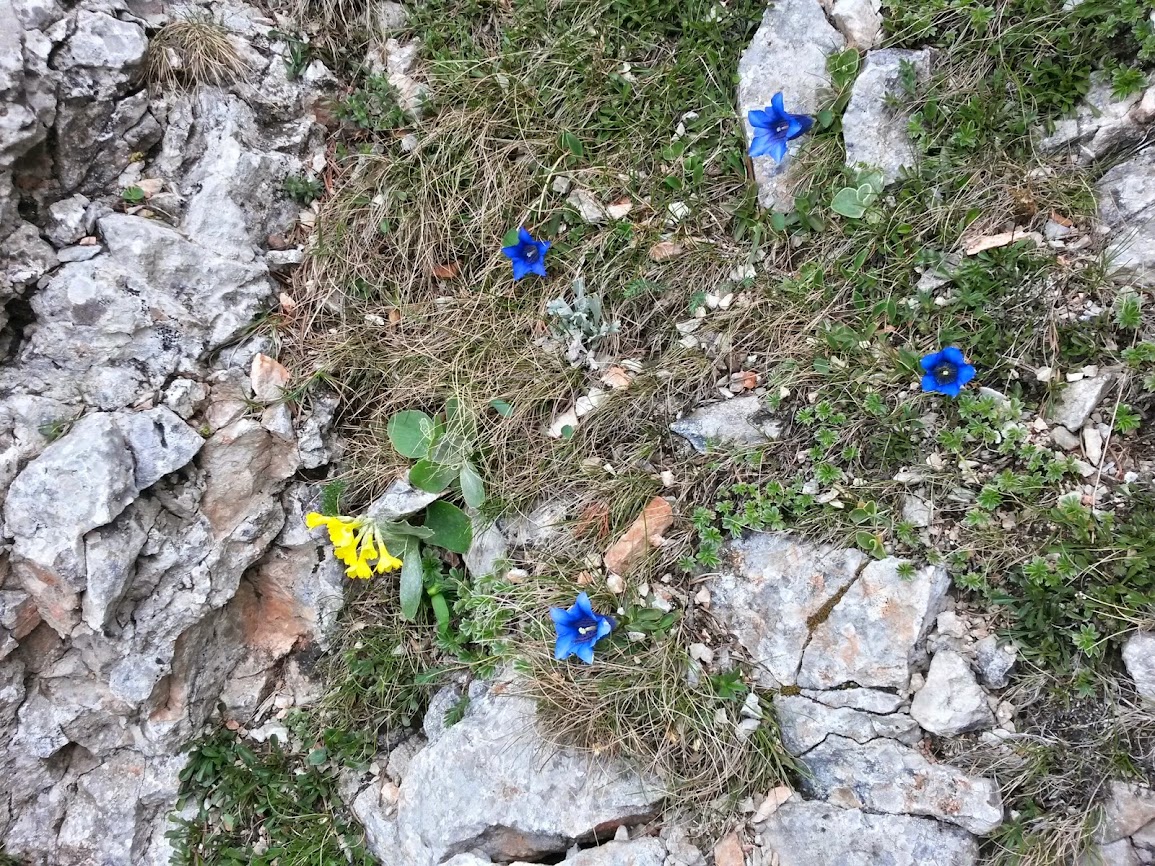 lh6.googleusercontent.com_-xpfdnf2l5bg_u4hjhx-kobi_aaaaaaaayxg_td88riwpe64_w1155-h866-no_20140525_100032_richtone_2528hdr_2529.jpg lh6.googleusercontent.com_-xpfdnf2l5bg_u4hjhx-kobi_aaaaaaaayxg_td88riwpe64_w1155-h866-no_20140525_100032_richtone_2528hdr_2529.jpg