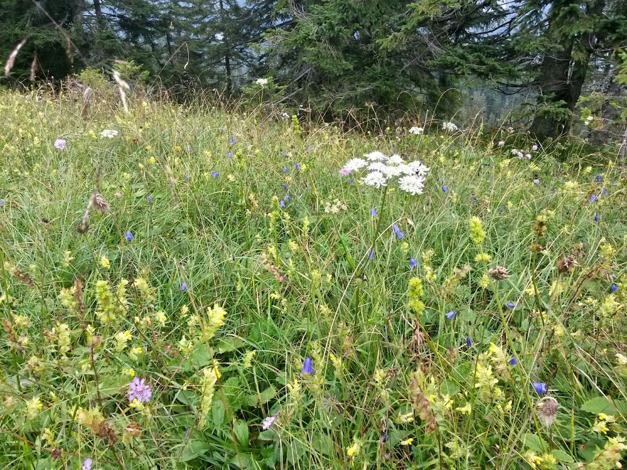 lh4.googleusercontent.com_-t34bvzjpbd0_u_iu6wh8-8i_aaaaaaaacl8_wjjymnbroo8_w1228-h921-no_20140823_115337_richtone_28hdr_29.jpg lh4.googleusercontent.com_-t34bvzjpbd0_u_iu6wh8-8i_aaaaaaaacl8_wjjymnbroo8_w1228-h921-no_20140823_115337_richtone_28hdr_29.jpg