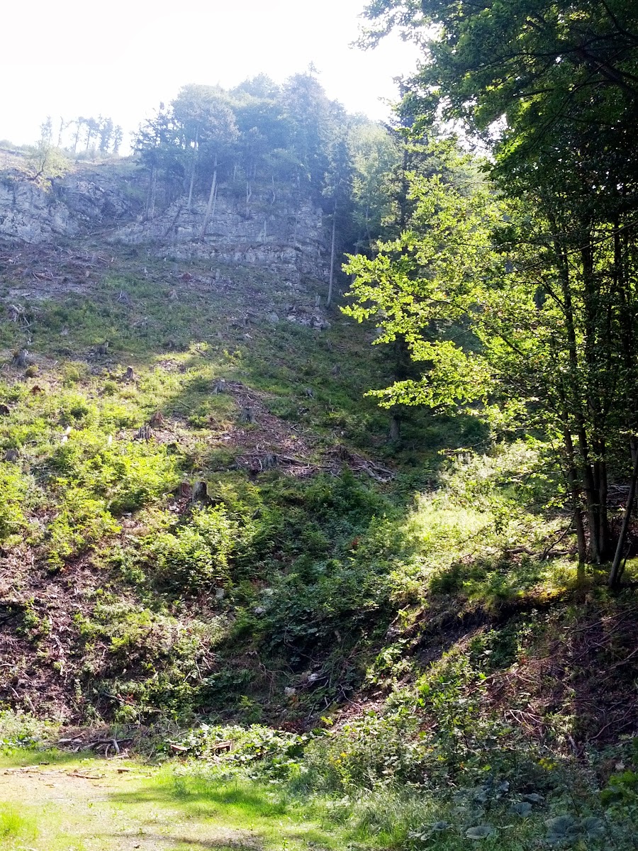 lh5.googleusercontent.com_-rlmgfcdobj4_ugyrycigmxi_aaaaaaaapz0_xuwxob-n3jg_w900-h1200-no_img_20130810_111217.jpg lh5.googleusercontent.com_-rlmgfcdobj4_ugyrycigmxi_aaaaaaaapz0_xuwxob-n3jg_w900-h1200-no_img_20130810_111217.jpg