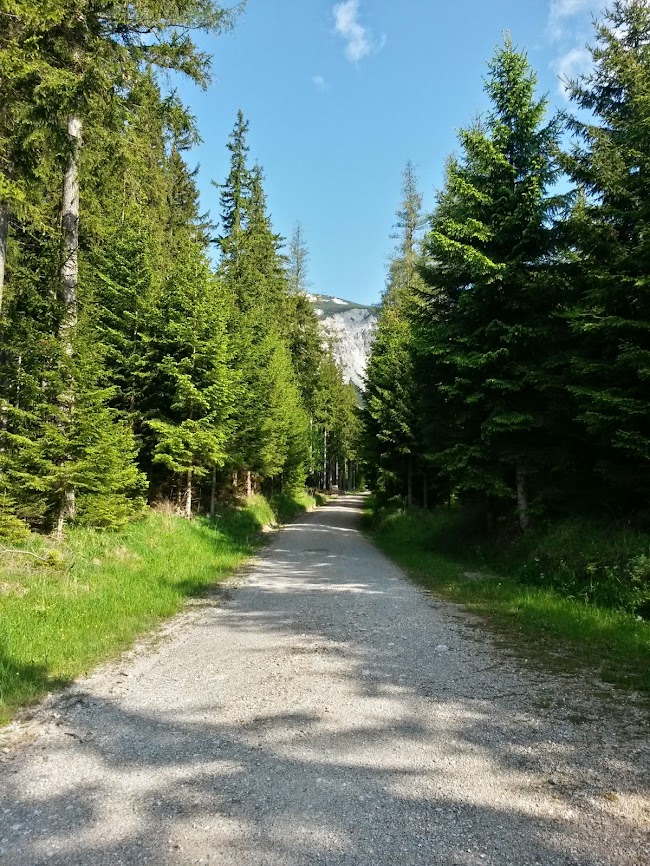 lh4.googleusercontent.com_-_rrx1dyjjyc_u4hjc00pcai_aaaaaaaayvq_wzoglttba1w_w650-h866-no_20140525_084612_richtone_2528hdr_2529.jpg lh4.googleusercontent.com_-_rrx1dyjjyc_u4hjc00pcai_aaaaaaaayvq_wzoglttba1w_w650-h866-no_20140525_084612_richtone_2528hdr_2529.jpg