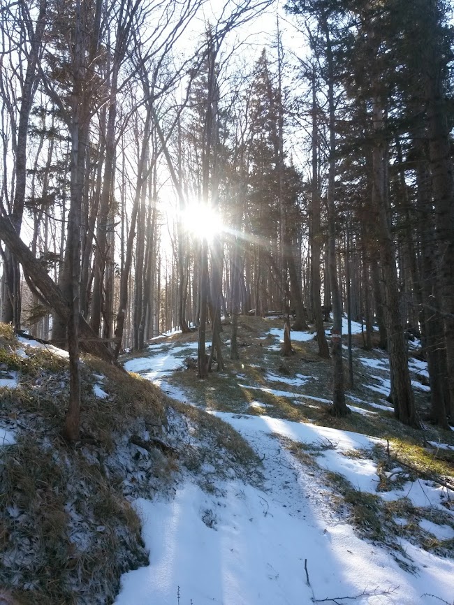 lh6.googleusercontent.com_-anbdr-g8vkq_uq3whurx3xi_aaaaaaaathc_g_czjiaw450_w650-h866-no_20131215_105945.jpg lh6.googleusercontent.com_-anbdr-g8vkq_uq3whurx3xi_aaaaaaaathc_g_czjiaw450_w650-h866-no_20131215_105945.jpg