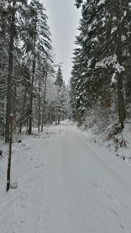 lh6.googleusercontent.com_-wn3jupjgwyk_uqculaevyoi_aaaaaaaatri_goohaylvjb0_w450-h800-no_20131205_094530_richtone_2528hdr_2529.jpg lh6.googleusercontent.com_-wn3jupjgwyk_uqculaevyoi_aaaaaaaatri_goohaylvjb0_w450-h800-no_20131205_094530_richtone_2528hdr_2529.jpg