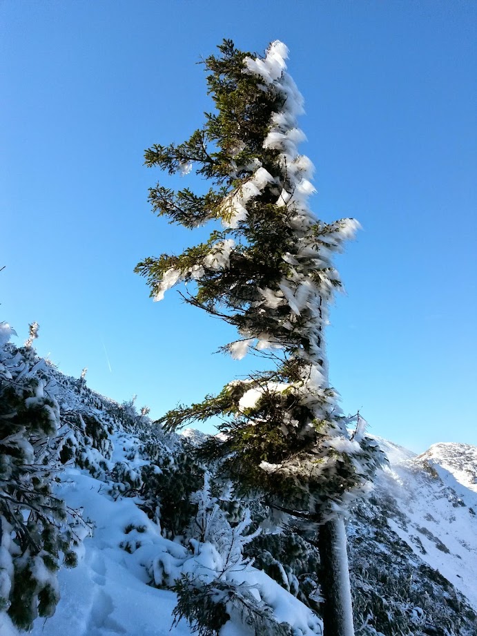 lh3.googleusercontent.com_-6ahrncb3k0u_veu7mqei8ri_aaaaaaaaea0_qooz0-ms_9o_w691-h921-no_20141025_120505_richtone_28hdr_29.jpg lh3.googleusercontent.com_-6ahrncb3k0u_veu7mqei8ri_aaaaaaaaea0_qooz0-ms_9o_w691-h921-no_20141025_120505_richtone_28hdr_29.jpg