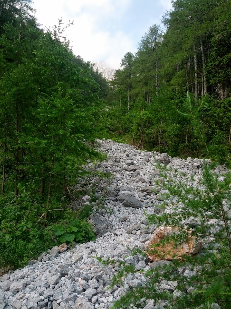 lh5.googleusercontent.com_-uurygnddvie_ucwnby8gp6i_aaaaaaaan3m_mh_orhqoll4_w900-h1200-no_img_20130622_080957.jpg lh5.googleusercontent.com_-uurygnddvie_ucwnby8gp6i_aaaaaaaan3m_mh_orhqoll4_w900-h1200-no_img_20130622_080957.jpg