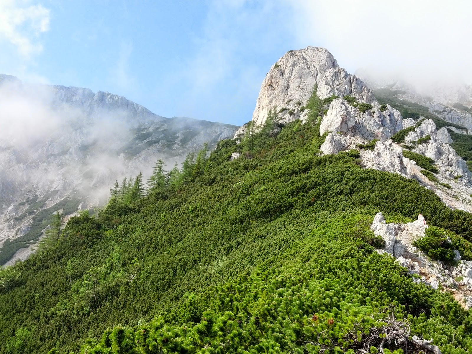 lh6.googleusercontent.com_-gbm371vzhkk_ucwpvdcwumi_aaaaaaaan50_6plxhczxrbu_w1600-h1200-no_img_20130622_092301.jpg lh6.googleusercontent.com_-gbm371vzhkk_ucwpvdcwumi_aaaaaaaan50_6plxhczxrbu_w1600-h1200-no_img_20130622_092301.jpg