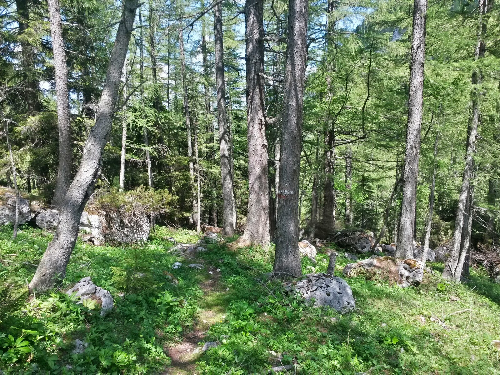 lh4.googleusercontent.com_-pb1f0eip8s0_u5c46buqxdi_aaaaaaaaztk_gg_ts9yp24u_w1600-h1200-no_20140610_142308_richtone_2528hdr_2529.jpg lh4.googleusercontent.com_-pb1f0eip8s0_u5c46buqxdi_aaaaaaaaztk_gg_ts9yp24u_w1600-h1200-no_20140610_142308_richtone_2528hdr_2529.jpg