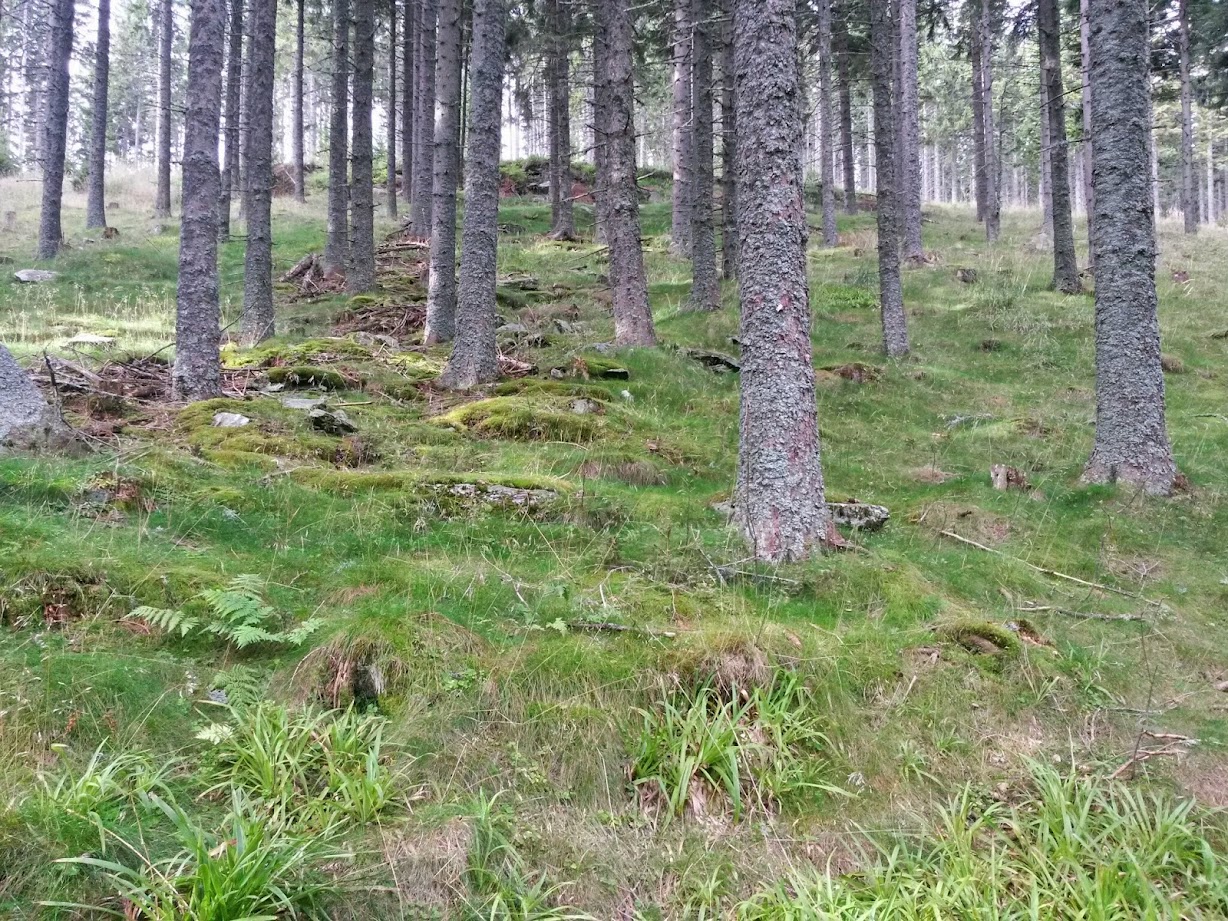 lh4.googleusercontent.com_-hocna2qcapc_vagzyq7s6ji_aaaaaaaact0_4xjnvxvhbwi_w1228-h921-no_20140830_085512_richtone_28hdr_29.jpg lh4.googleusercontent.com_-hocna2qcapc_vagzyq7s6ji_aaaaaaaact0_4xjnvxvhbwi_w1228-h921-no_20140830_085512_richtone_28hdr_29.jpg