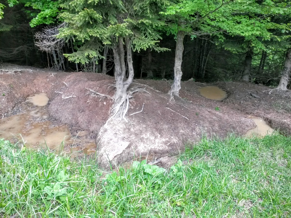 lh6.googleusercontent.com_-aulcjlaattu_vwnue0et-ni_aaaaaaaajd8_hddlvs6twqo_w1209-h907-no_20150530_102339_richtone_2528hdr_2529.jpg lh6.googleusercontent.com_-aulcjlaattu_vwnue0et-ni_aaaaaaaajd8_hddlvs6twqo_w1209-h907-no_20150530_102339_richtone_2528hdr_2529.jpg