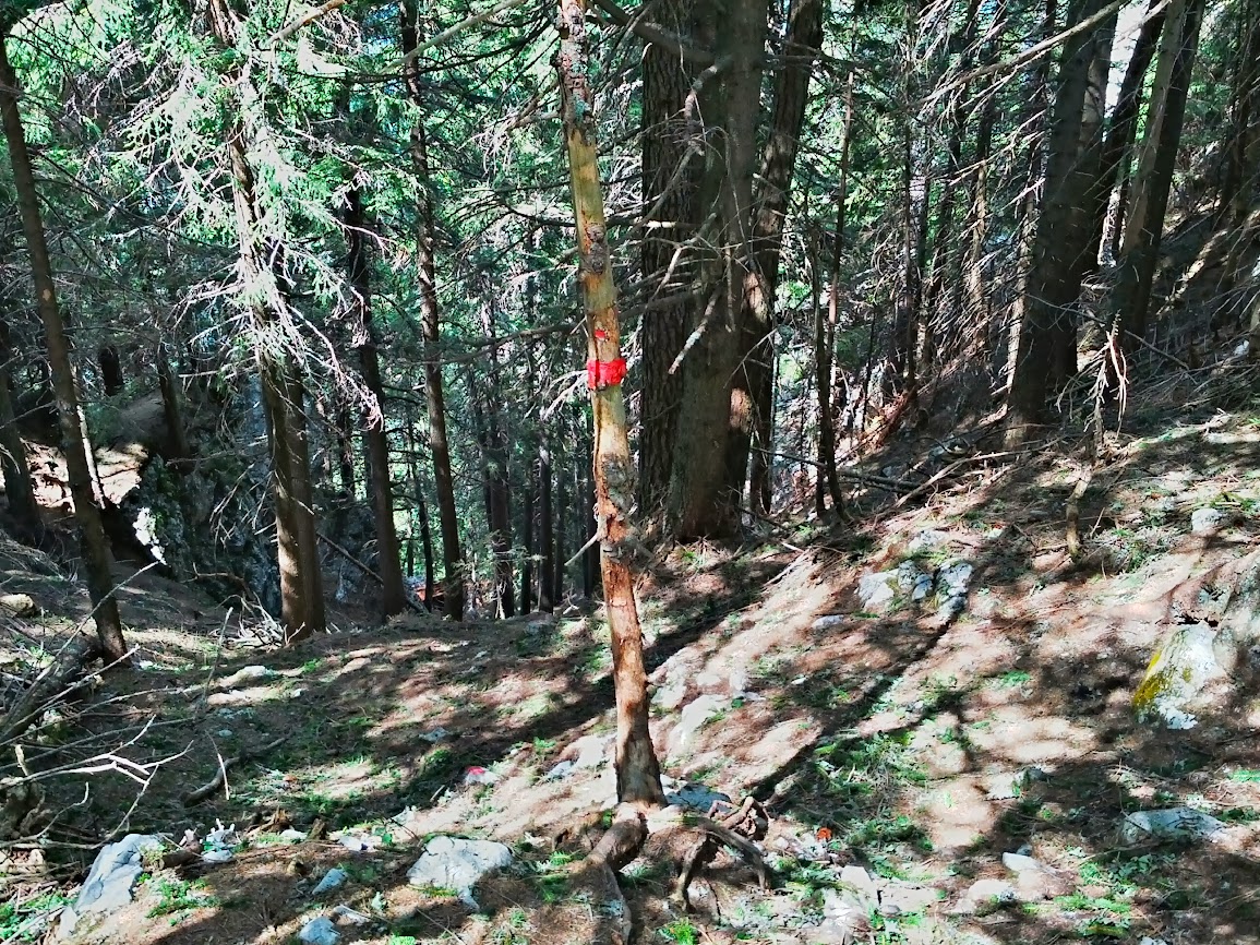 lh5.googleusercontent.com_-mb-c3ohbqh8_ug-isv1lhdi_aaaaaaaapve_gsg1qytnu8_w1155-h866-no_2013-08-17_13-10-39_hdr.jpg lh5.googleusercontent.com_-mb-c3ohbqh8_ug-isv1lhdi_aaaaaaaapve_gsg1qytnu8_w1155-h866-no_2013-08-17_13-10-39_hdr.jpg