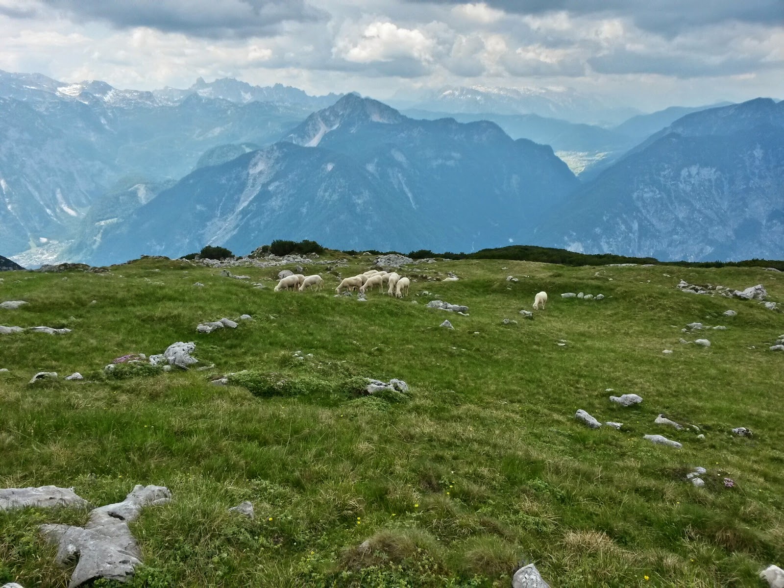 lh5.googleusercontent.com_-dwedr2kcwao_u6luk5rhpoi_aaaaaaaaai8_ce8osltjnre_w1600-h1200-no_20140619_121306_richtone_2528hdr_2529.jpg lh5.googleusercontent.com_-dwedr2kcwao_u6luk5rhpoi_aaaaaaaaai8_ce8osltjnre_w1600-h1200-no_20140619_121306_richtone_2528hdr_2529.jpg