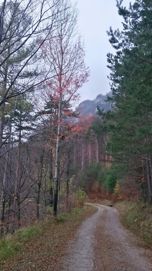 lh3.googleusercontent.com_-lvrddbi2-sc_un4vs32rqbi_aaaaaaaassa_shw0ioftof4_w487-h866-no_20131109_112521_richtone_2528hdr_2529.jpg lh3.googleusercontent.com_-lvrddbi2-sc_un4vs32rqbi_aaaaaaaassa_shw0ioftof4_w487-h866-no_20131109_112521_richtone_2528hdr_2529.jpg