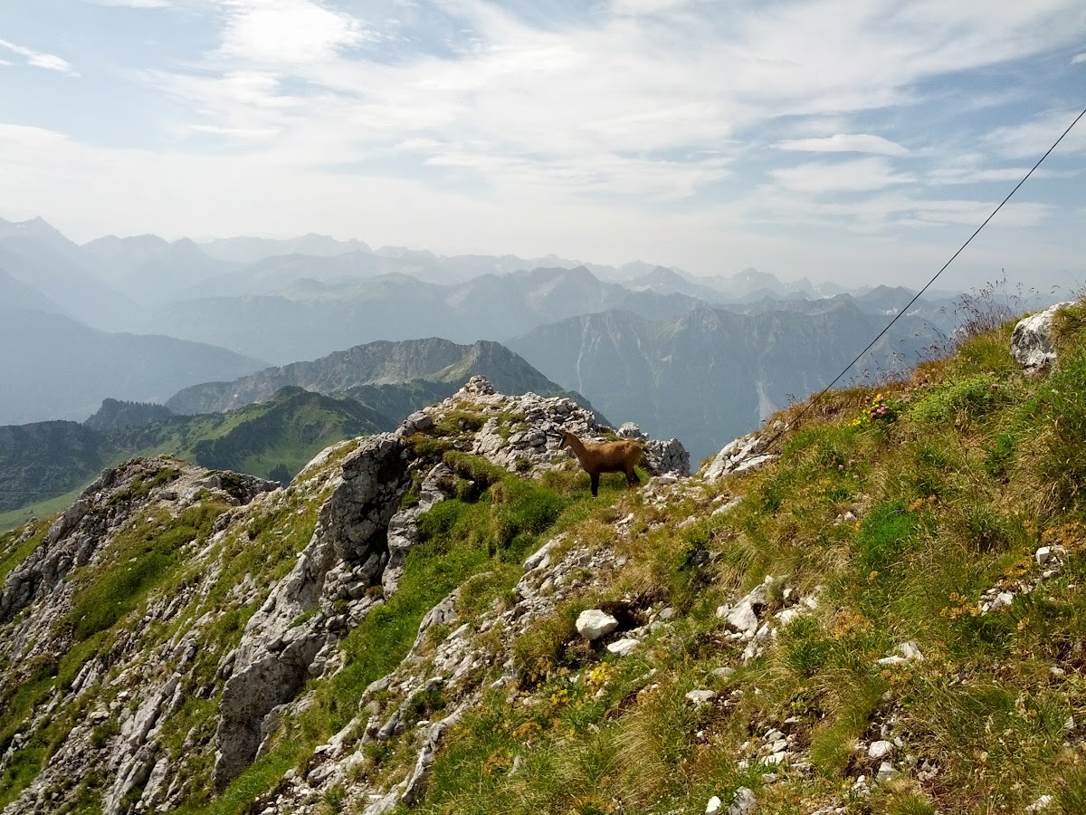 lh5.googleusercontent.com_-nveqxk4rbna_ufultz80r4i_aaaaaaaaozo_dqq7k7zkyj8_w1200-h900-no_img_20130728_102542.jpg lh5.googleusercontent.com_-nveqxk4rbna_ufultz80r4i_aaaaaaaaozo_dqq7k7zkyj8_w1200-h900-no_img_20130728_102542.jpg