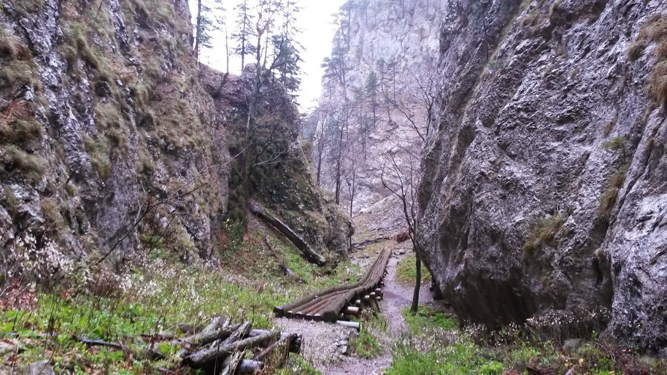 lh6.googleusercontent.com_-tkvfb1wwuqw_un4u5jxasyi_aaaaaaaasqi_ea5mcpkvrui_w1353-h761-no_20131109_103719.jpg lh6.googleusercontent.com_-tkvfb1wwuqw_un4u5jxasyi_aaaaaaaasqi_ea5mcpkvrui_w1353-h761-no_20131109_103719.jpg