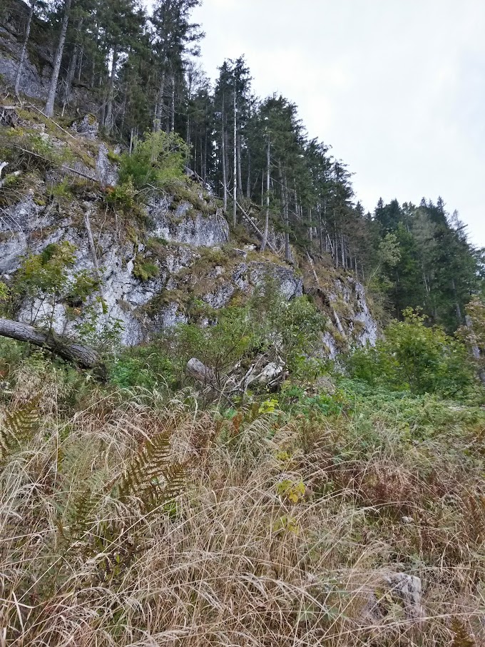 lh4.googleusercontent.com_-bhqqcc7qs50_vg_y-gj6eki_aaaaaaaaoki_bsi-vvgpna4_w680-h907-no_20151003_111807_richtone_2528hdr_2529.jpg lh4.googleusercontent.com_-bhqqcc7qs50_vg_y-gj6eki_aaaaaaaaoki_bsi-vvgpna4_w680-h907-no_20151003_111807_richtone_2528hdr_2529.jpg