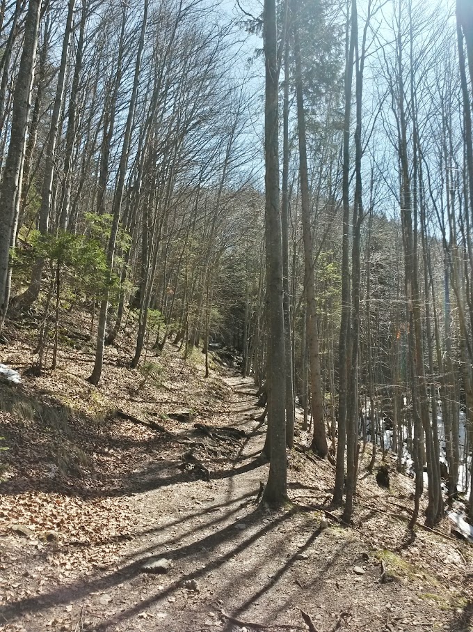 lh6.googleusercontent.com_-nung5t40d5o_vsqsi7znipi_aaaaaaaaiay_ssuo_e9g1h4_w680-h907-no_20150410_125025_richtone_28hdr_29.jpg lh6.googleusercontent.com_-nung5t40d5o_vsqsi7znipi_aaaaaaaaiay_ssuo_e9g1h4_w680-h907-no_20150410_125025_richtone_28hdr_29.jpg