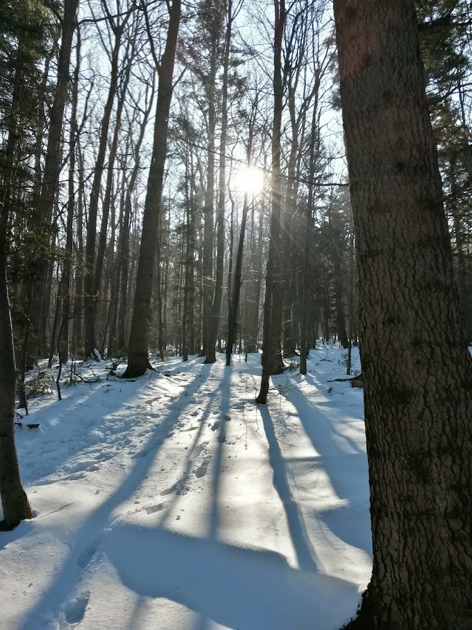 lh3.googleusercontent.com_-3ml7teigkms_vn9ndib0omi_aaaaaaaahys_rqrhnbalii4_w680-h907-no_20150214_105535_richtone_28hdr_29.jpg lh3.googleusercontent.com_-3ml7teigkms_vn9ndib0omi_aaaaaaaahys_rqrhnbalii4_w680-h907-no_20150214_105535_richtone_28hdr_29.jpg