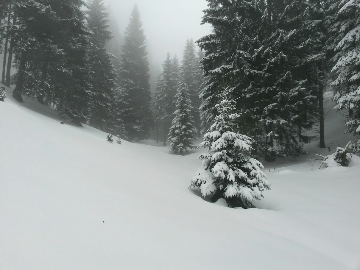 lh3.googleusercontent.com_-y1w3j1i0910_vqqw0y1ghoi_aaaaaaaah4a_ks62xujdxgq_w1209-h907-no_20150314_115728_richtone_28hdr_29.jpg lh3.googleusercontent.com_-y1w3j1i0910_vqqw0y1ghoi_aaaaaaaah4a_ks62xujdxgq_w1209-h907-no_20150314_115728_richtone_28hdr_29.jpg